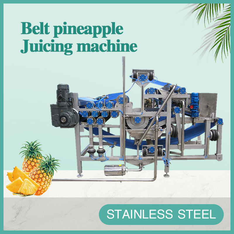 Belt pineapple Juicing machine