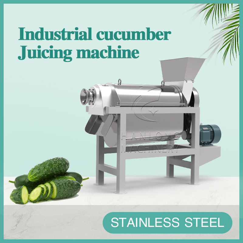 Industrial cucumber Juicing machine