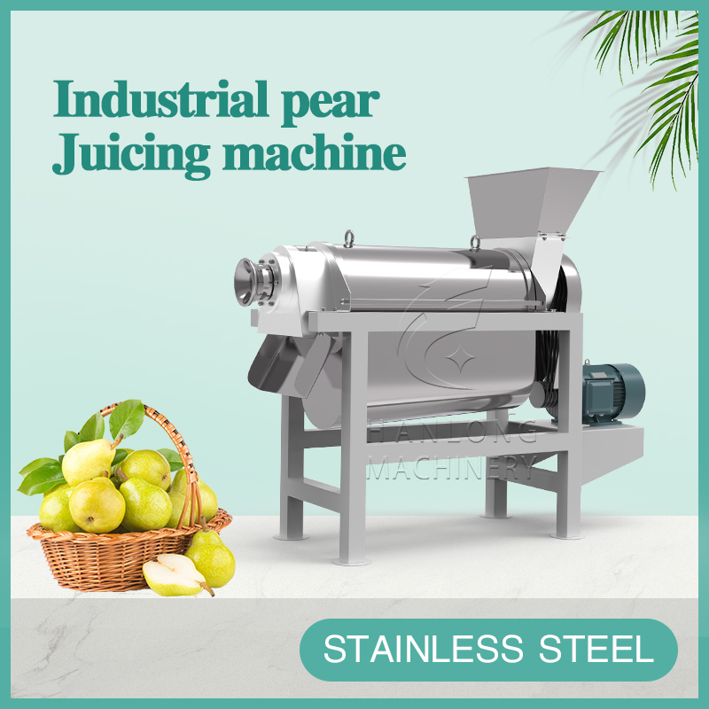 Industrial pear Juicing machine