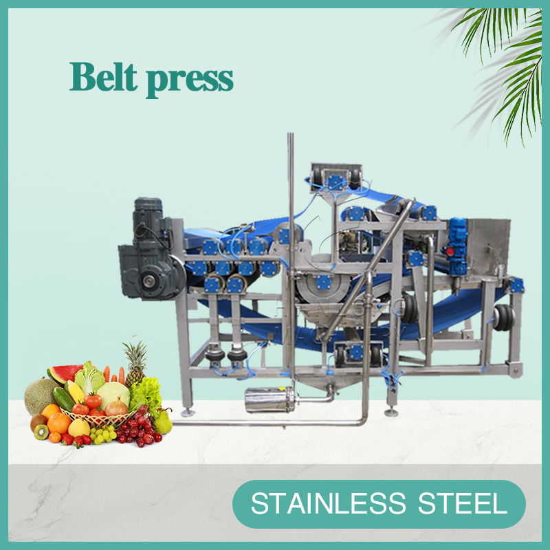 Belt press