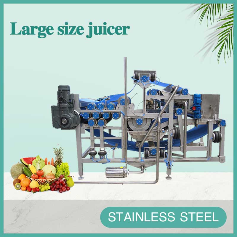 large size juicer