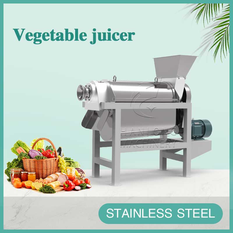 vegetable juicer