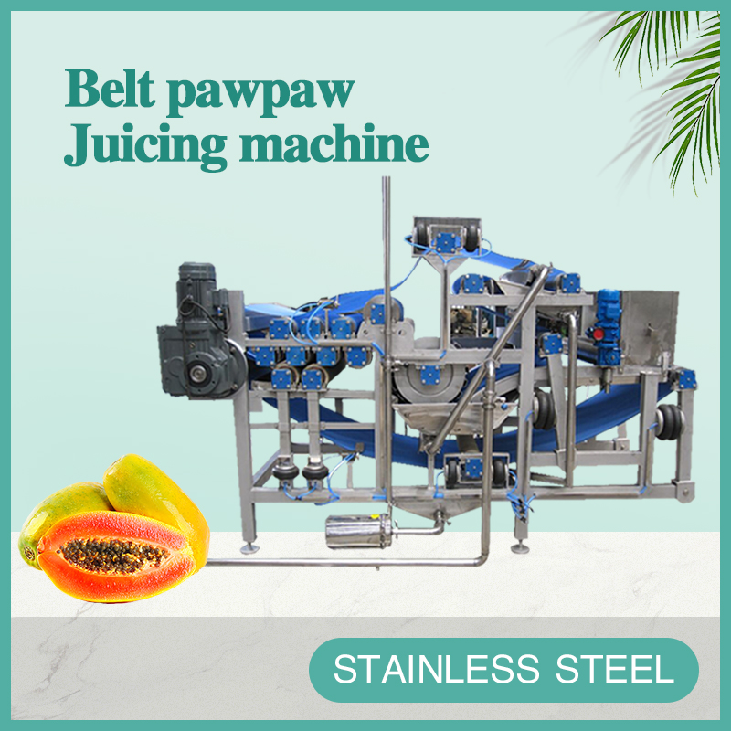 belt pawpaw Juicing machine