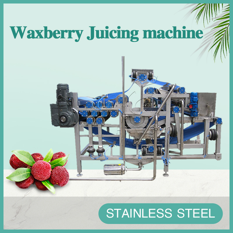 waxberry Juicing machine