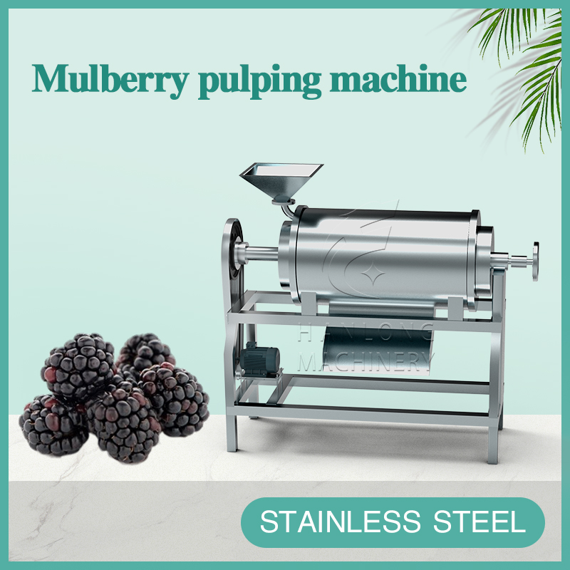 mulberry pulping machine