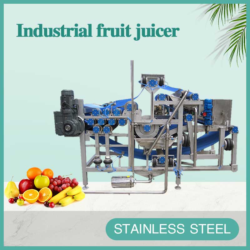 industrial fruit juicer