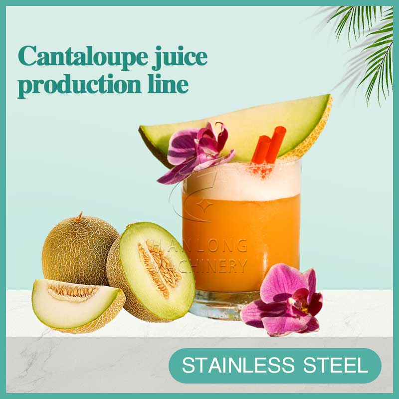 Cantaloupe juice  production line