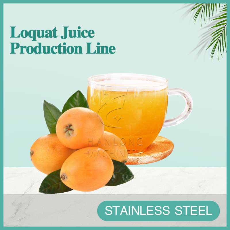 Loquat Juice Production Line
