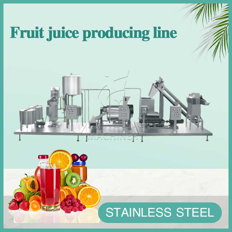fruit juice producing line
