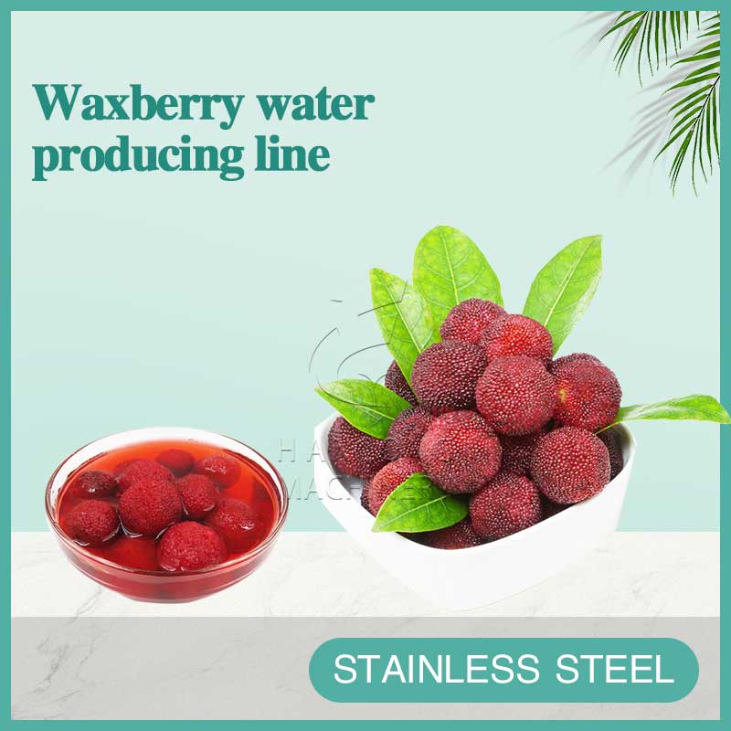 waxberry water producing line