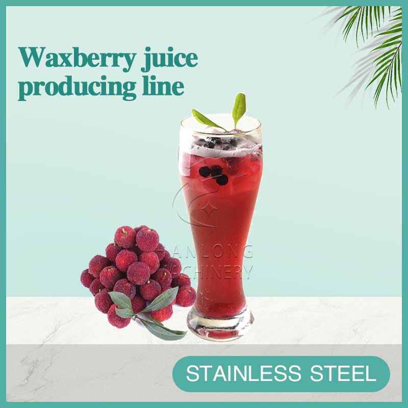 waxberry juice producing line